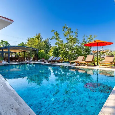 Hotel Elizya Boutique *