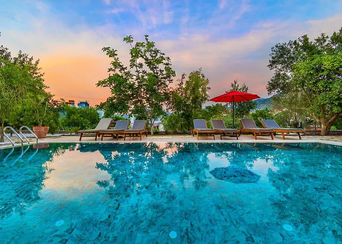 Elizya Boutique Hotel *